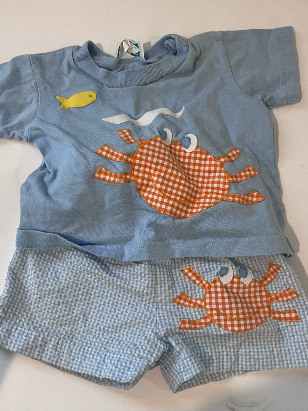 Funtasia Too Baby Boy Swim Set 12m Crab Seersucker Swim Trunks Light Blue